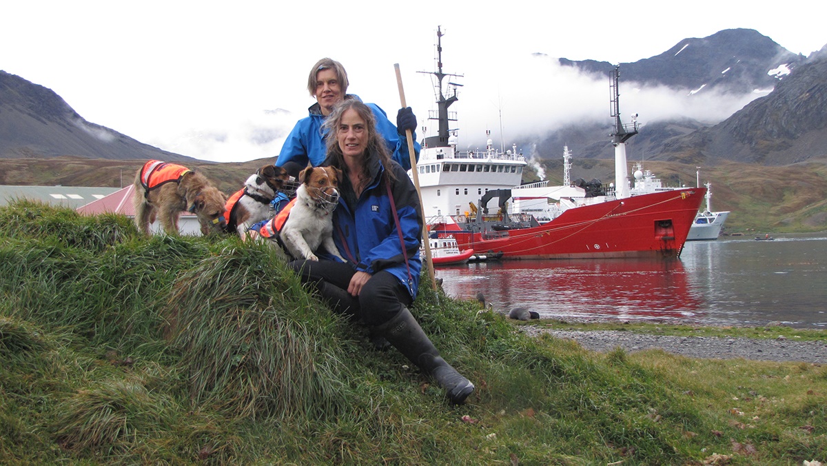 Ahu (L), Will (M) and Wai (R) with Miriam Ritchie(Top) and Jane Tansell (Lower) at King Edward's Point, Pharos in background credit SGHT